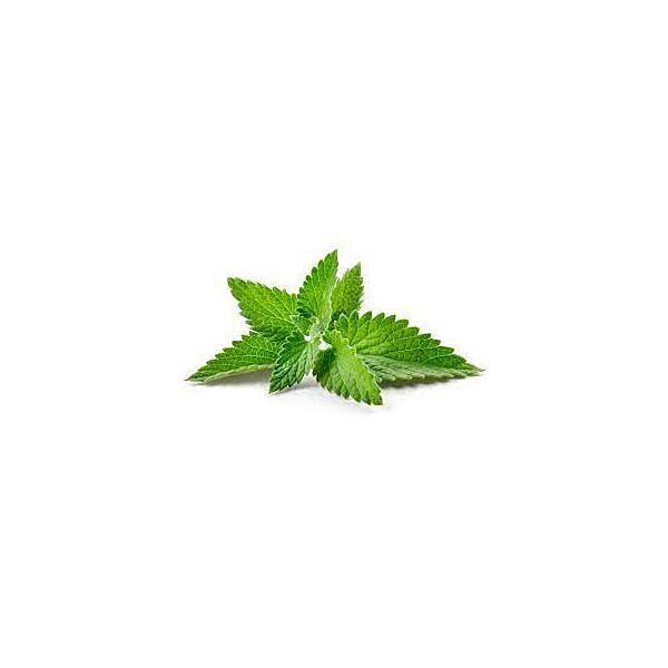 Decadent Vapours Spearmint aroma 10 ml – aromakoncentrat