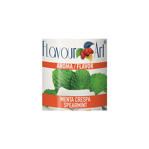 FlavourArt Spearmint aroma 10 ml – aromakoncentrat