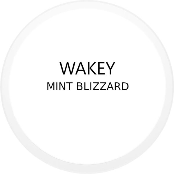 WAKEY MINT BLIZZARD ENERGY POUCH