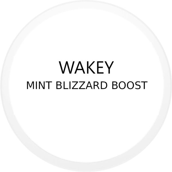 WAKEY MINT BLIZZARD BOOST ENERGY POUCH